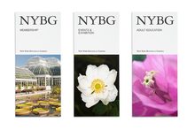 NYBG identity (2016)