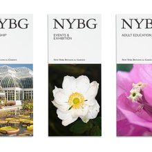 NYBG identity (2016)