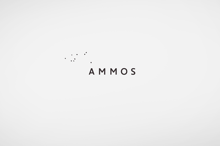 Ammos Hotel 1