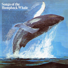 <cite>Songs Of The Humpback Whale </cite>album art