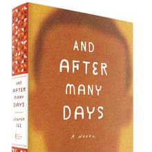 <cite>And After Many Days</cite> by Jowhor Ile