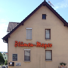 Blumen-Mayer