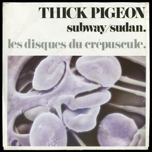 Thick Pigeon – <cite>Subway / Sudan</cite>