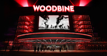Woodbine Rebranding