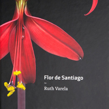 <cite>Flor de Santiago</cite> by Ruth Varela