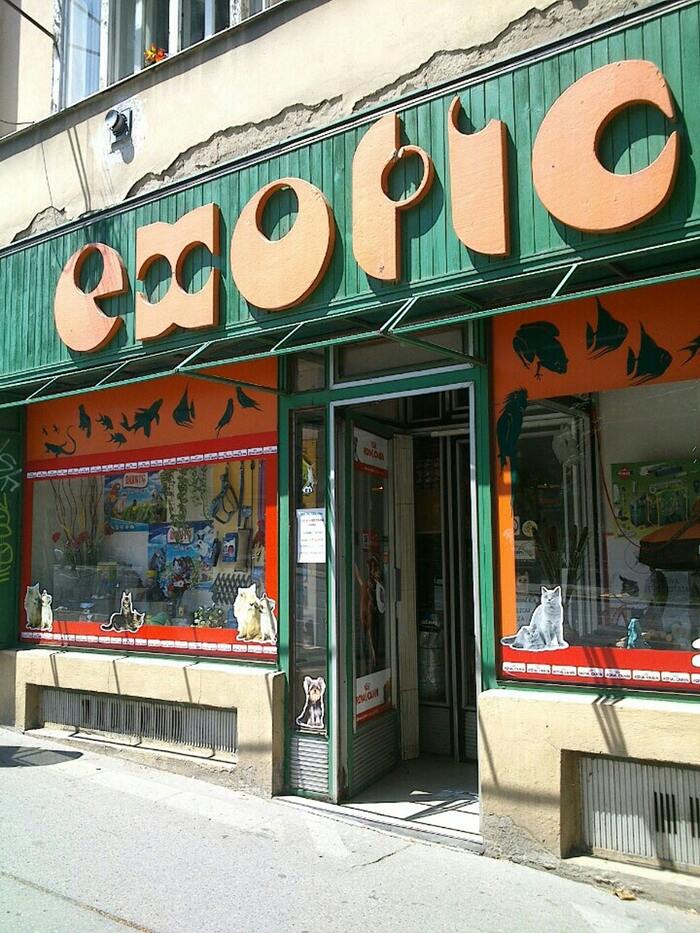 Exotic pet shop, Brno 3