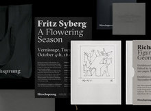 The Hirschsprung Collection identity (proposal)