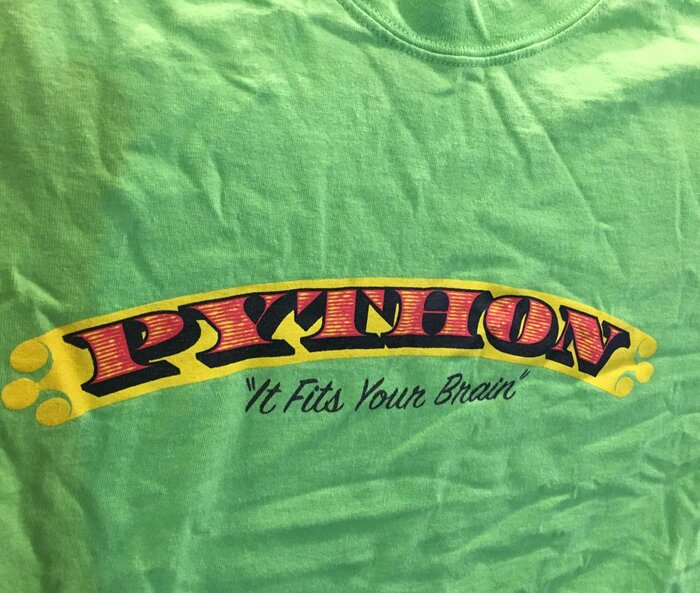 “It Fits Your Brain” Python T-shirt