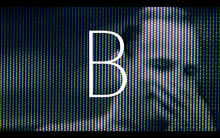 Bergman’s Video