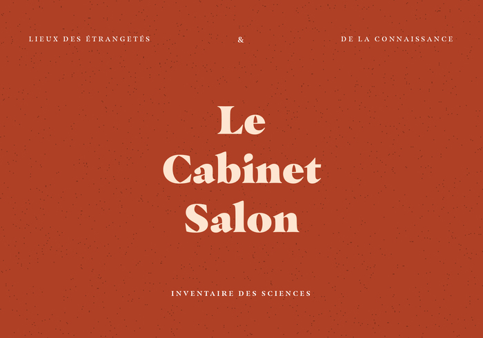 Le Cabinet Salon 1