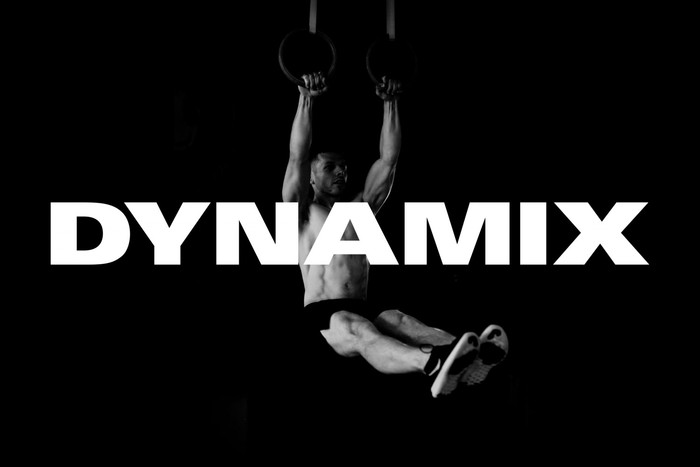 Dynamix 2