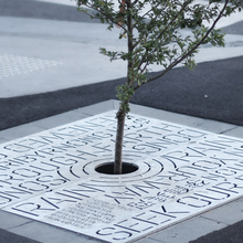 Leeds Street rain garden