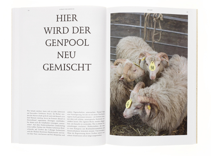 Schaf und Mensch magazine 2