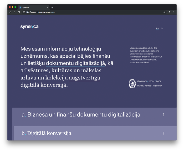 Synerica 2