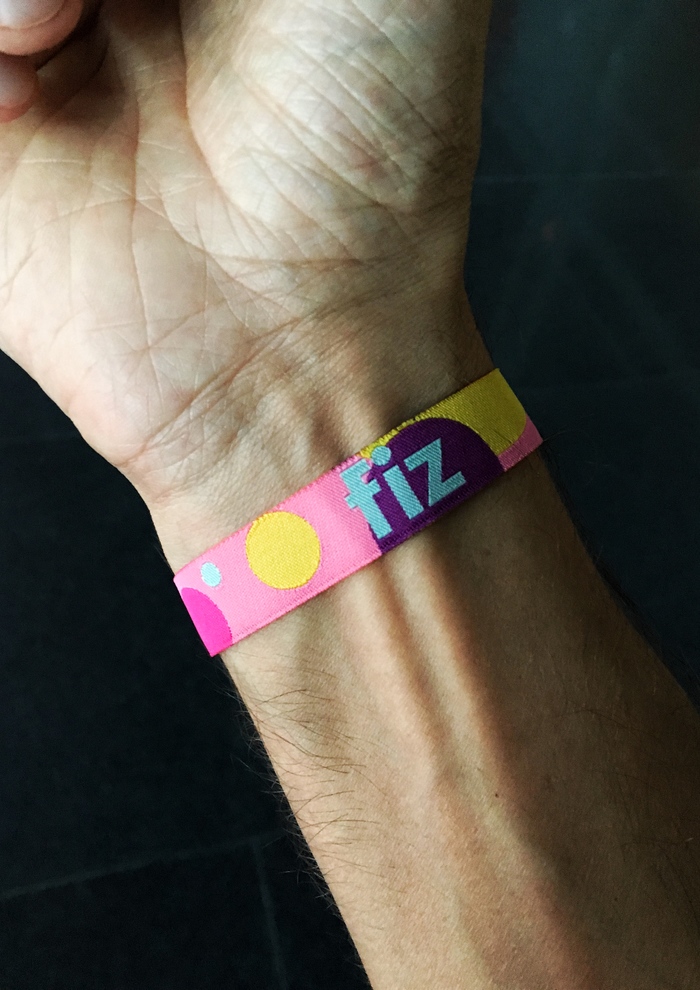 FIZ 2018 identity 4