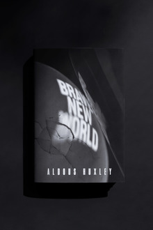 <cite>Brave New World</cite> (student project)