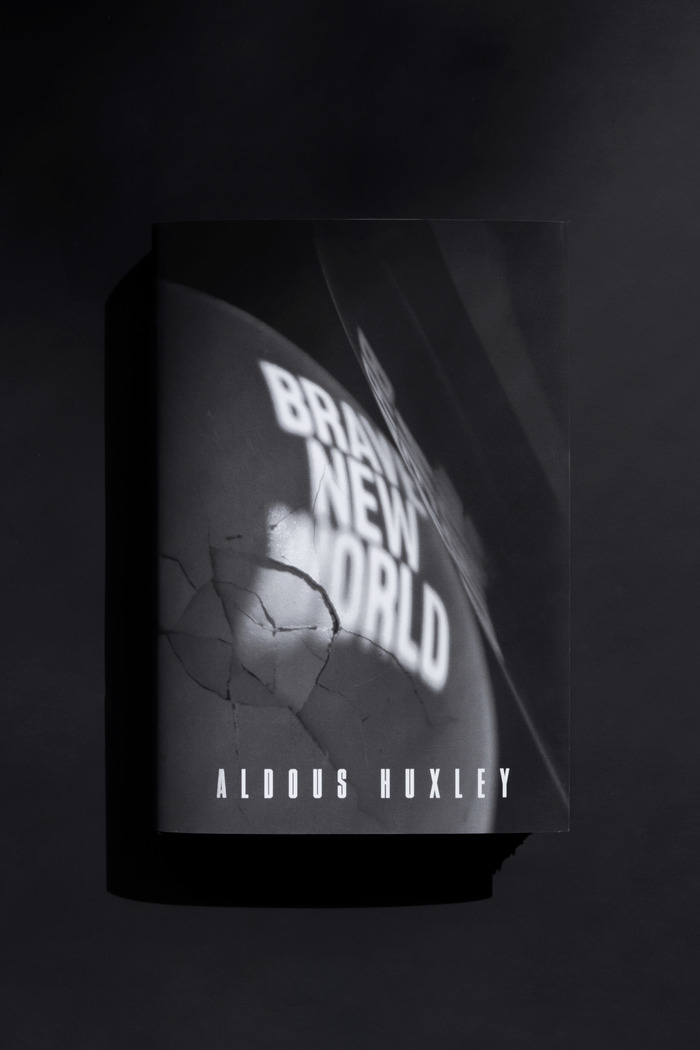 Brave New World (student project) 1