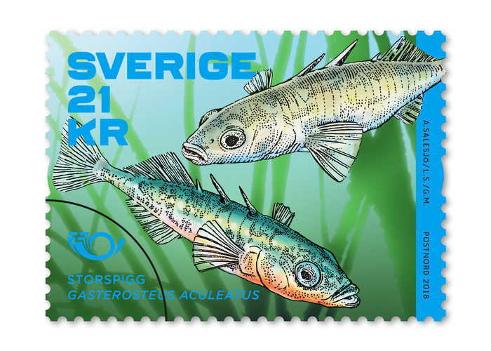 The coil stamp features the Three-spined stickleback. Gotham is used for the species’ name.