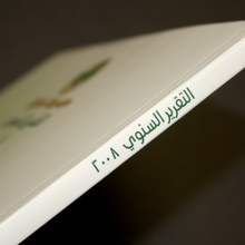 Savola Annual Report 2008