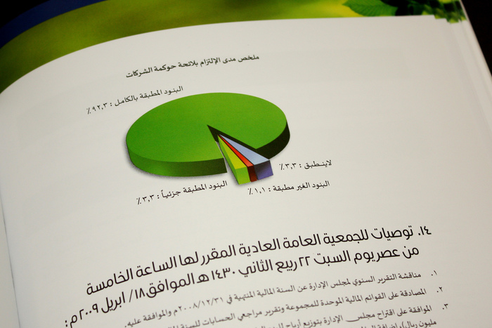 Savola Annual Report 2008 6