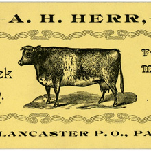 A. H. Herr, Mill Creek Dairy, Lancaster, Pa.