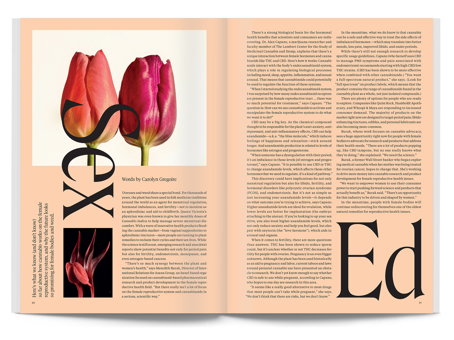 Broccoli magazine, No. 4 Fonts In Use