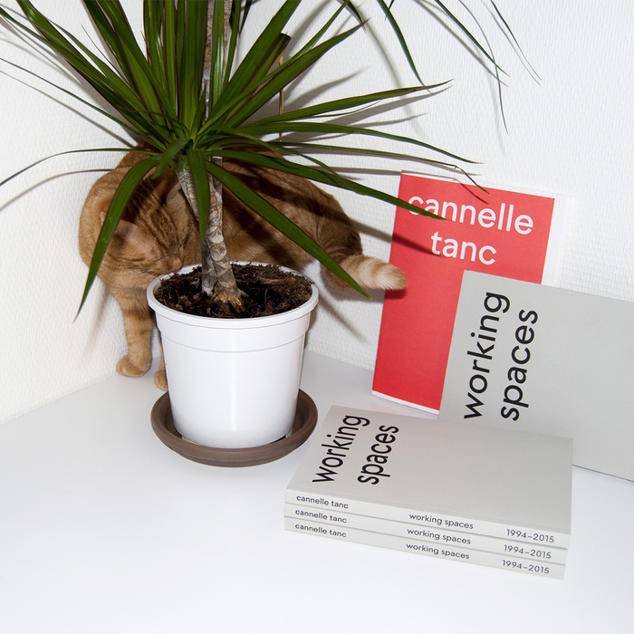 Working Spaces – Cannelle Tanc 1