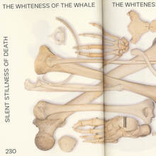 <cite>The whiteness of the Whale</cite>