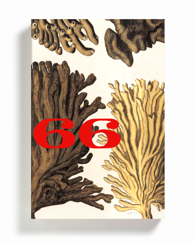 “The 3rd volume uses early 18th century hand-colored illustrations from Albertus Seba’s Cabinet of Natural Curiosities, inspired by one of the character’s obsession with seaweed.” — Strick