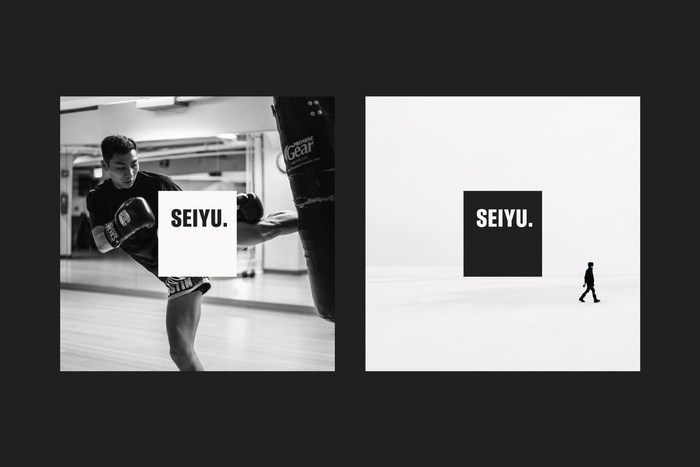 Seiyu brand identity 1