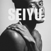 Seiyu brand identity