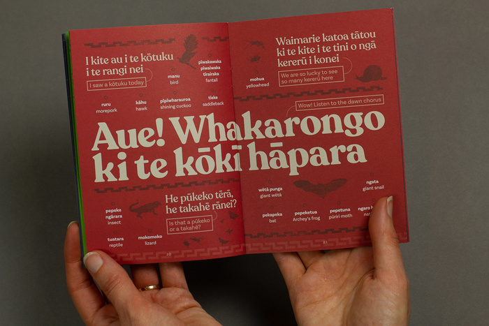 Kia Kaha Te Reo Taiao 6