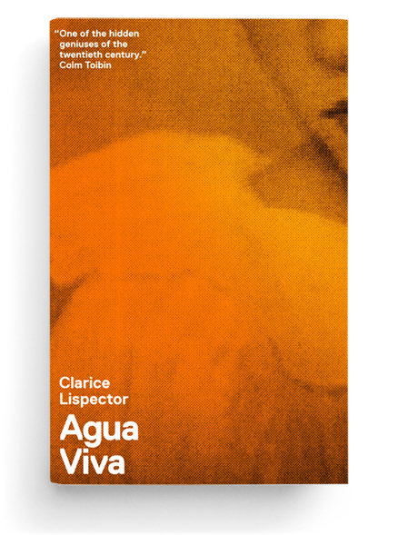 Clarice Lispector covers 2