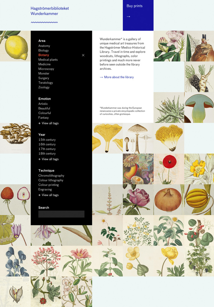 Wunderkammer website 1