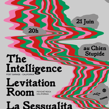 The Intelligence, Levitation Room, La Sessualita and Bande à Part