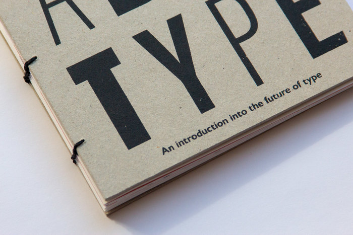 Variable Type. An Introduction into the Future of Type 1