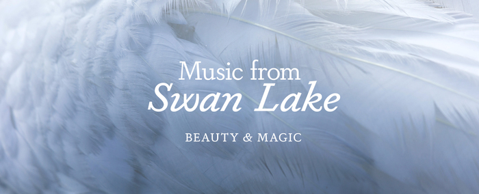 Solid Dapifer in roman and italic styles for the Swan Lake graphics.