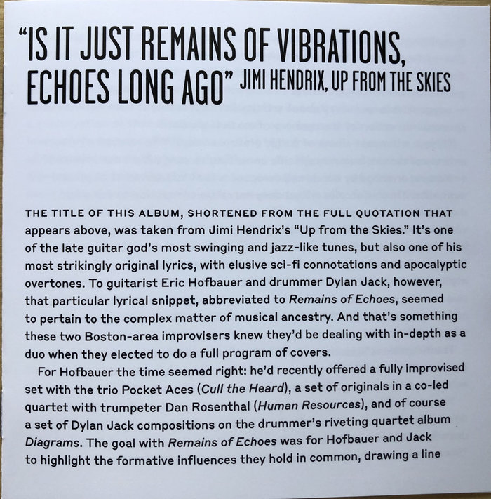 The liner notes by music historian David R. Adler use a gutsy, fresh pairing of Garage Gothic with Styrene B.