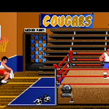 “Cougars” banner in <cite>Indiana Jones and the Last Crusade: The Graphic Adventure</cite>