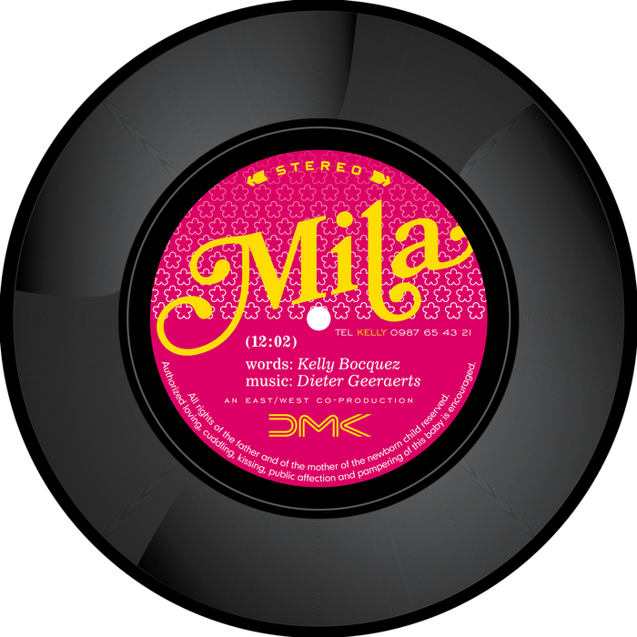 Vinyl birth announcement 4