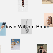 David William Baum