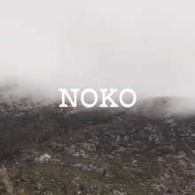 Noko