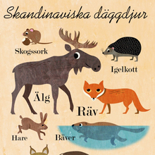 <cite>Skandinaviska Däggdjur</cite> poster