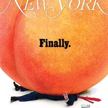 <cite>New York</cite> magazine (2019–)