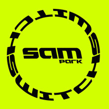 <cite>Switch</cite> – Sam Park