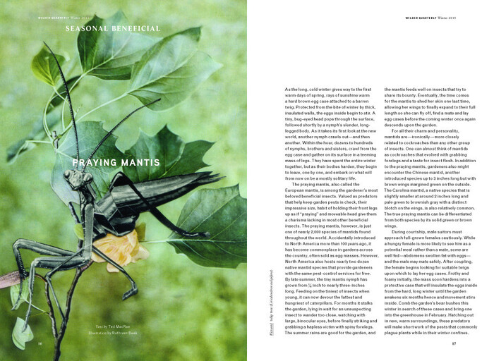 Wilder Quarterly 2011–13 5