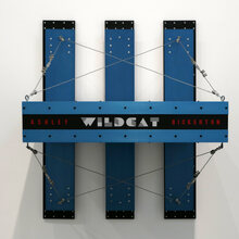 <cite>Me Portrait No 1 (Wildcat)</cite>, <cite>Me Portrait No 2 (Six Gun)</cite> by Ashley Bickerton