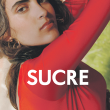 <cite>Sucre Paper</cite> #5 – “Anthropology”