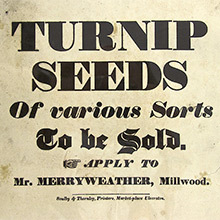 The Story of Our Friend, the Fat Face The Story of Our Friend, the Fat Face