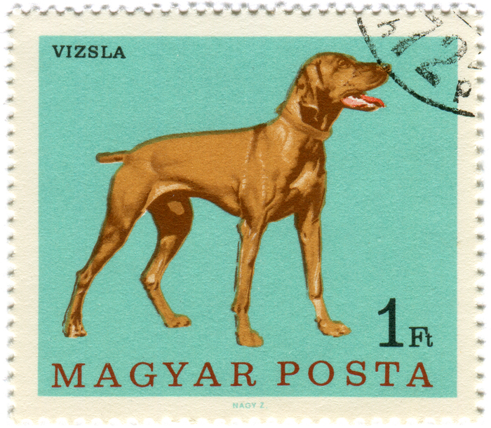 Hungary Postage Stamps: Dogs (ca. 1967) 1